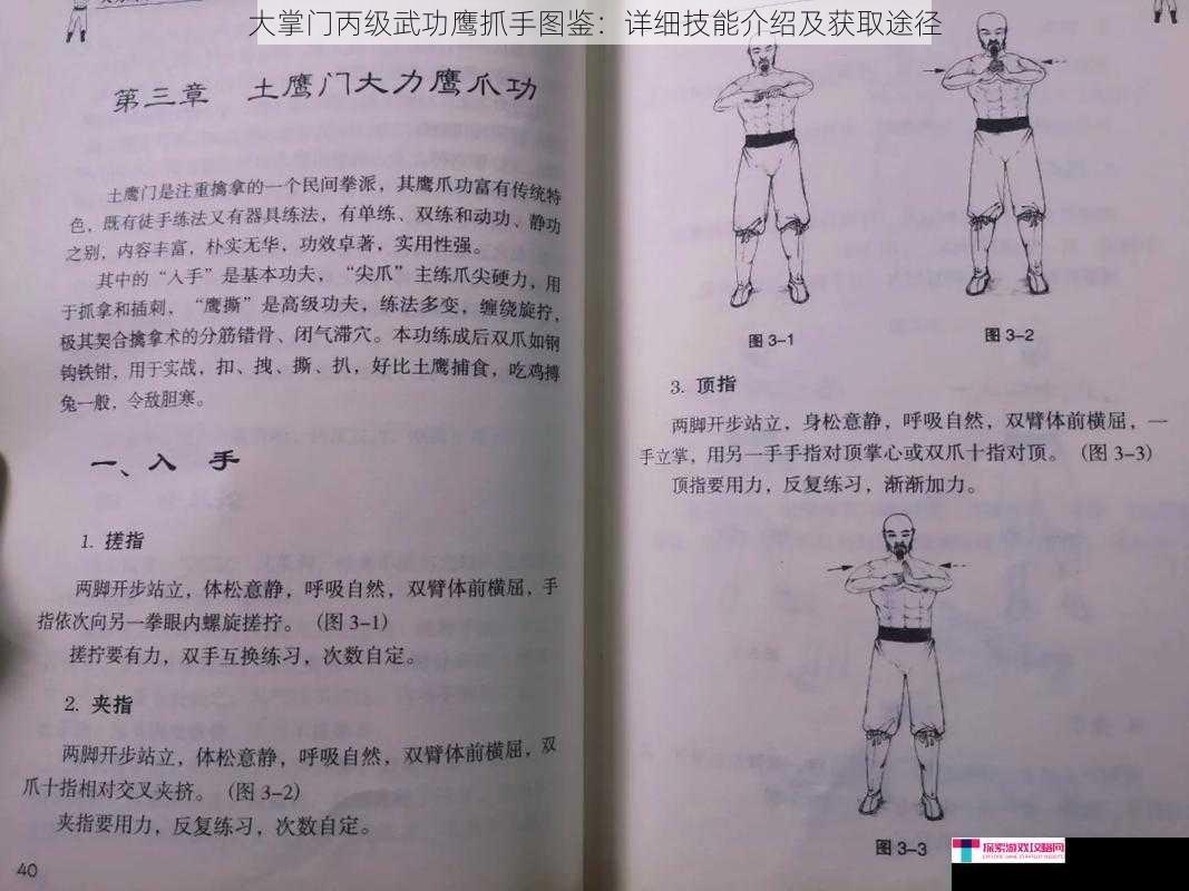 大掌门丙级武功鹰抓手图鉴：详细技能介绍及获取途径