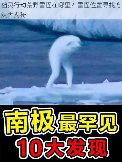 幽灵行动荒野雪怪在哪里？雪怪位置寻找方法大揭秘