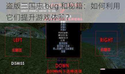 盗版三国志 bug 和秘籍：如何利用它们提升游戏体验？