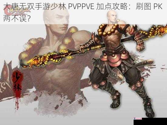 大唐无双手游少林 PVPPVE 加点攻略：刷图 PK 两不误？