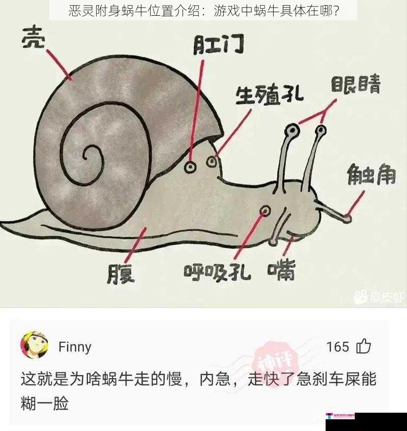 恶灵附身蜗牛位置介绍：游戏中蜗牛具体在哪？