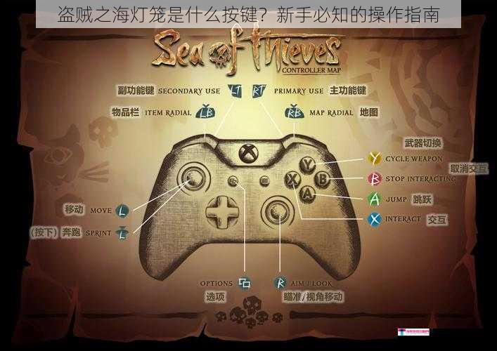 盗贼之海灯笼是什么按键？新手必知的操作指南