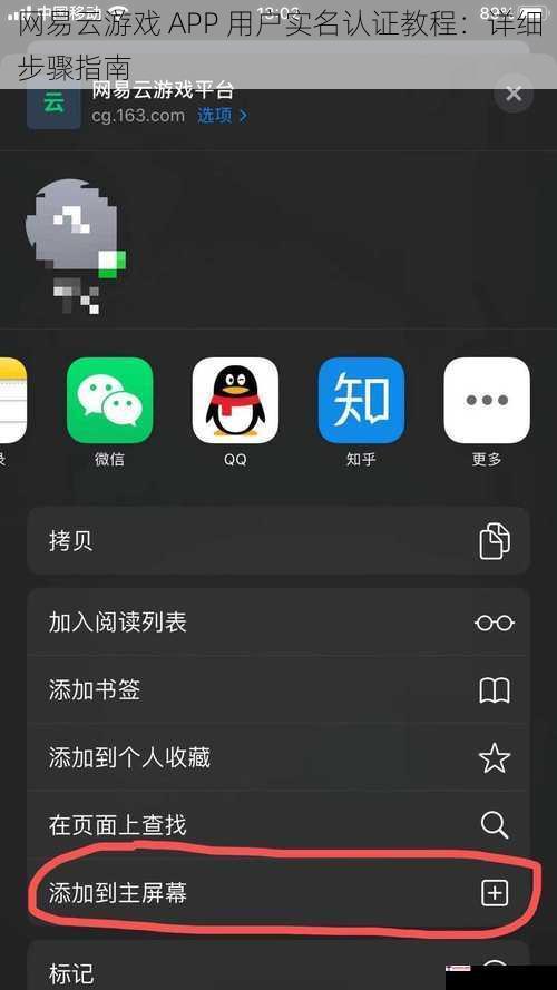 网易云游戏 APP 用户实名认证教程：详细步骤指南