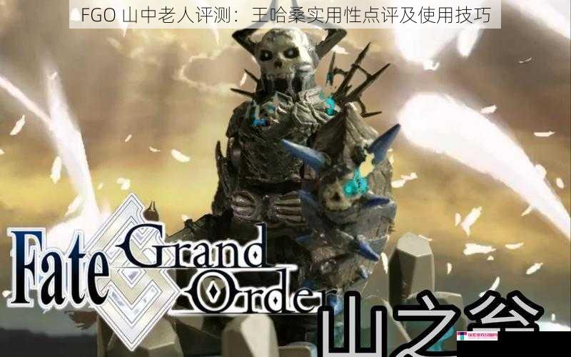 FGO 山中老人评测：王哈桑实用性点评及使用技巧