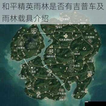 和平精英雨林是否有吉普车及雨林载具介绍