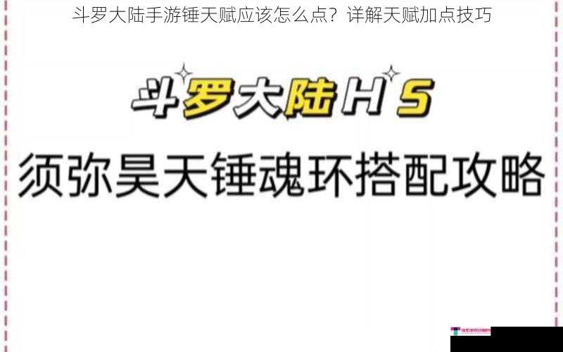 斗罗大陆手游锤天赋应该怎么点？详解天赋加点技巧