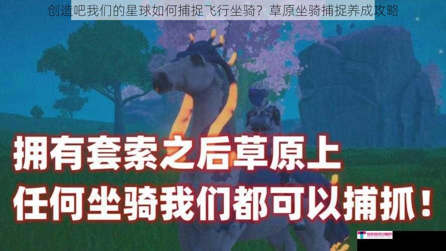 创造吧我们的星球如何捕捉飞行坐骑？草原坐骑捕捉养成攻略