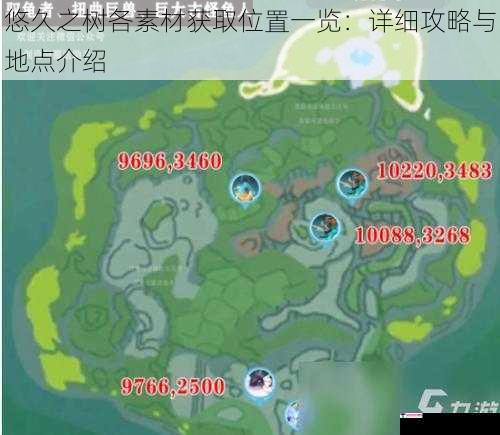 悠久之树各素材获取位置一览：详细攻略与地点介绍