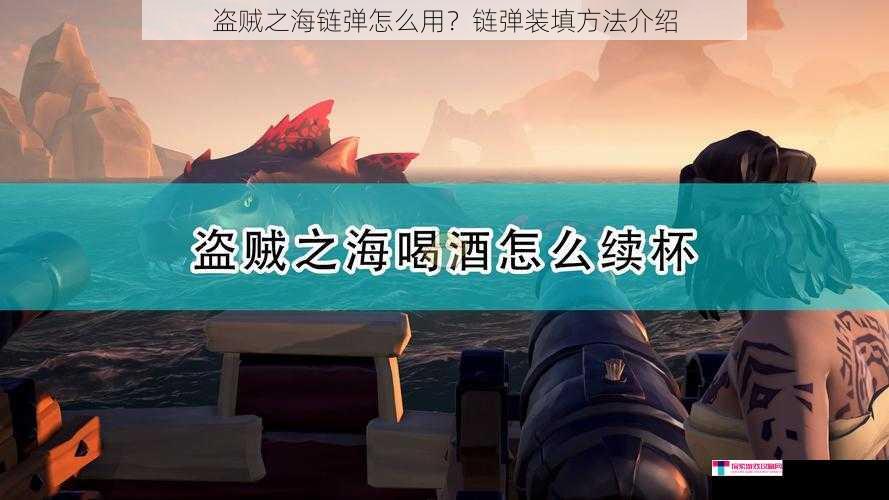 盗贼之海链弹怎么用？链弹装填方法介绍