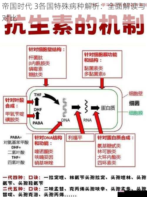 帝国时代 3各国特殊病种解析：全面解读与对比