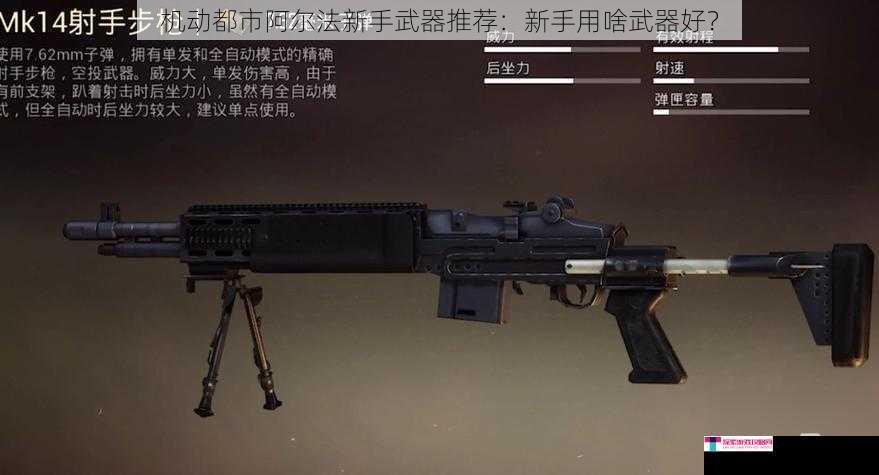 武器伤害与射程