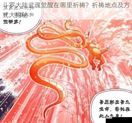 斗罗大陆武魂觉醒在哪里祈祷？祈祷地点及方式大揭秘