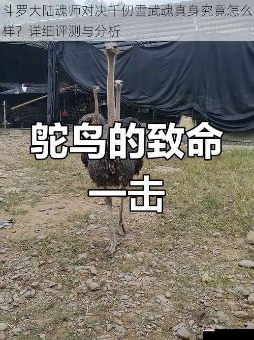 斗罗大陆魂师对决千仞雪武魂真身究竟怎么样？详细评测与分析