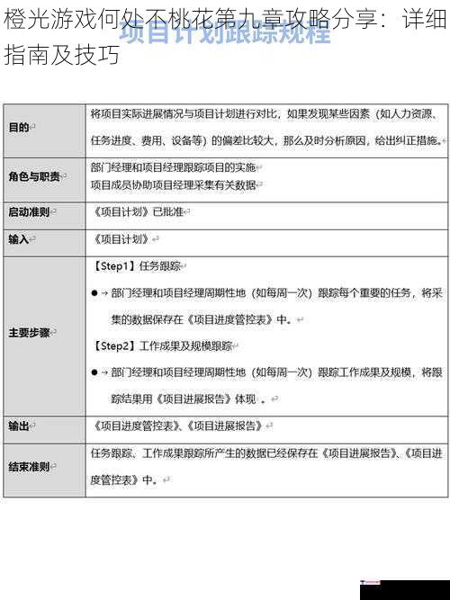 橙光游戏何处不桃花第九章攻略分享：详细指南及技巧