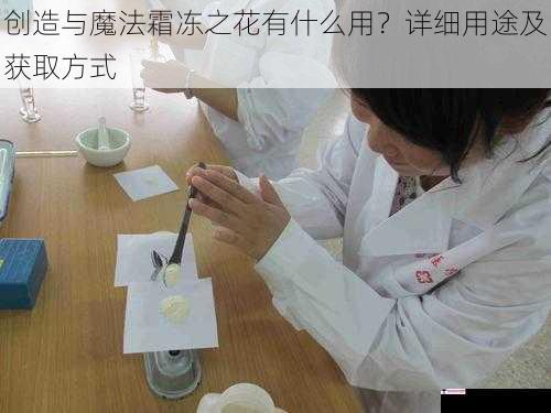 创造与魔法霜冻之花有什么用？详细用途及获取方式