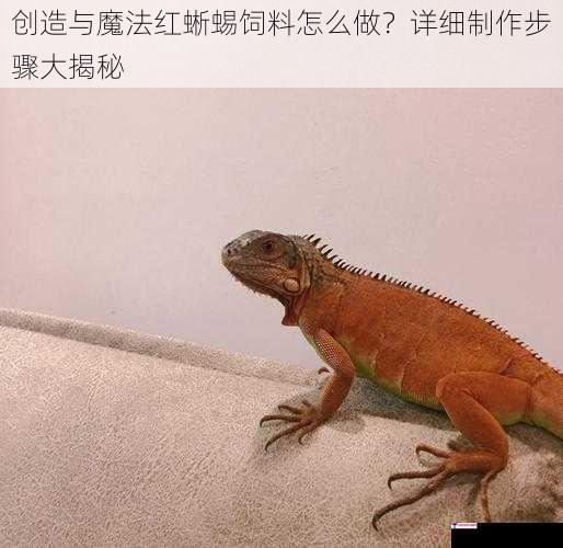 创造与魔法红蜥蜴饲料怎么做？详细制作步骤大揭秘