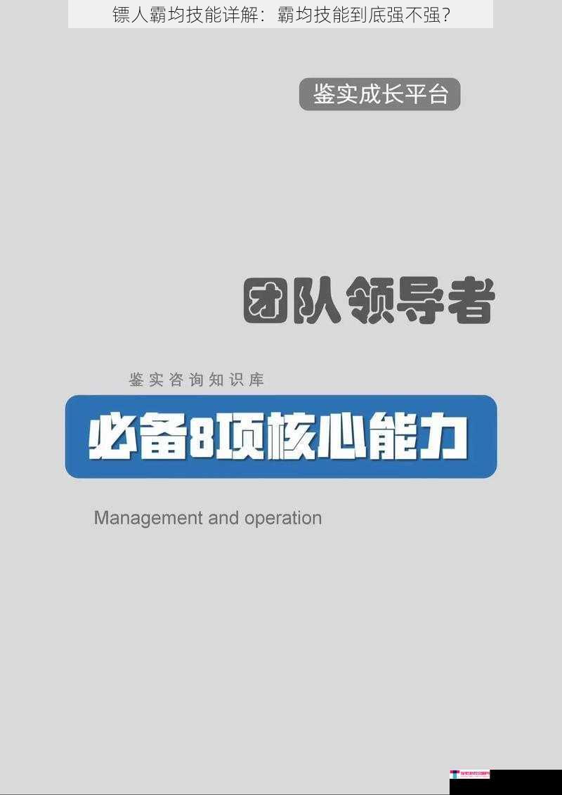 镖人霸均技能详解：霸均技能到底强不强？