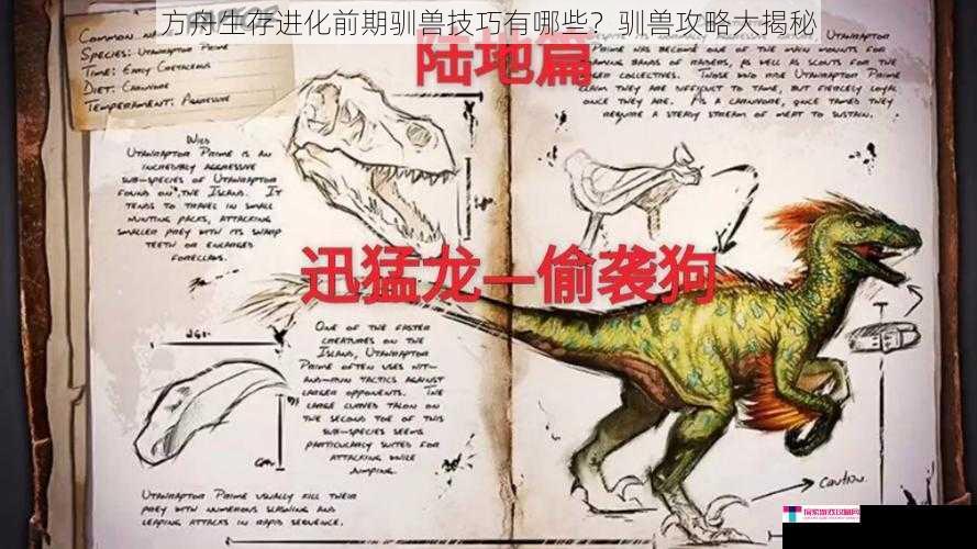 方舟生存进化前期驯兽技巧有哪些？驯兽攻略大揭秘