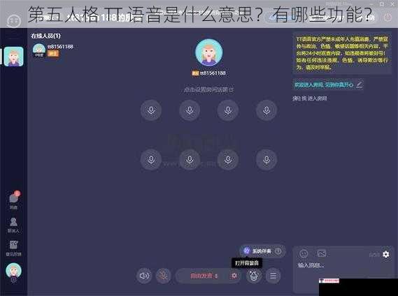 第五人格 TT 语音是什么意思？有哪些功能？