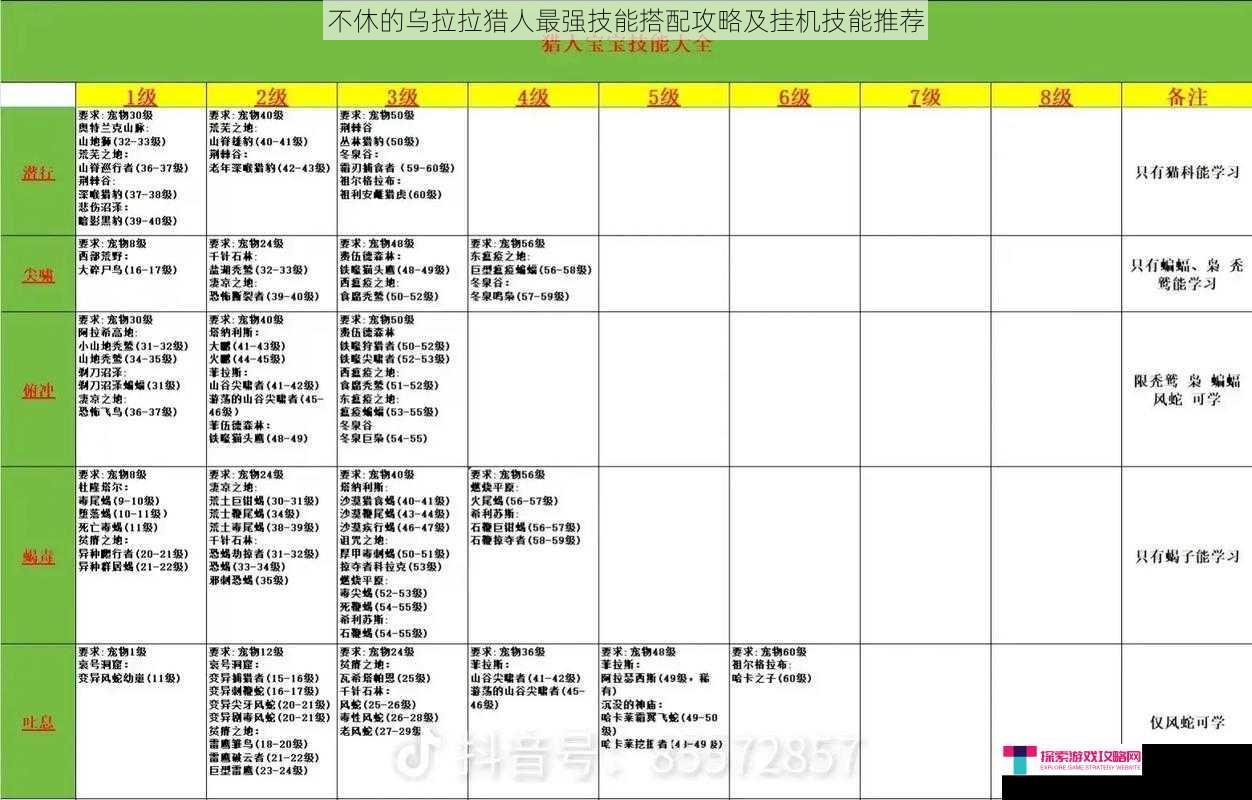 不休的乌拉拉猎人最强技能搭配攻略及挂机技能推荐