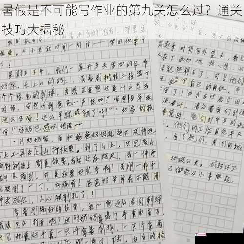 暑假是不可能写作业的第九关怎么过？通关技巧大揭秘