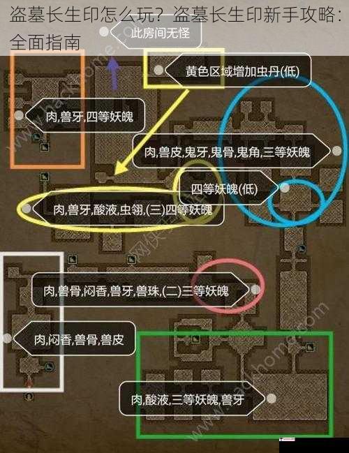 盗墓长生印怎么玩？盗墓长生印新手攻略：全面指南