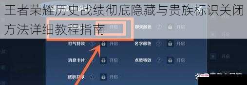 王者荣耀历史战绩彻底隐藏与贵族标识关闭方法详细教程指南