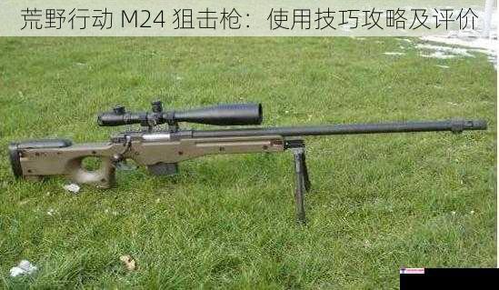 荒野行动 M24 狙击枪：使用技巧攻略及评价