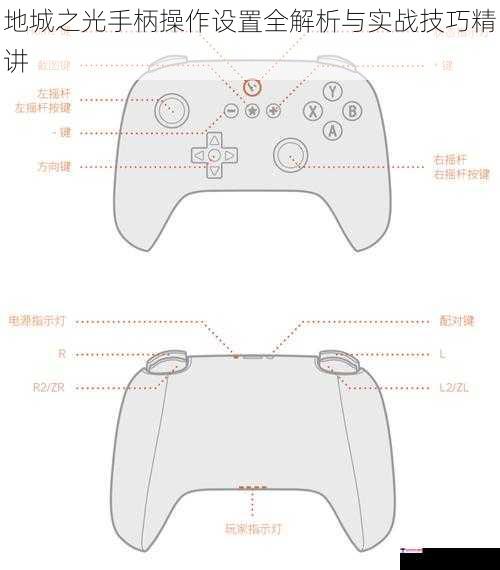 地城之光手柄操作设置全解析与实战技巧精讲