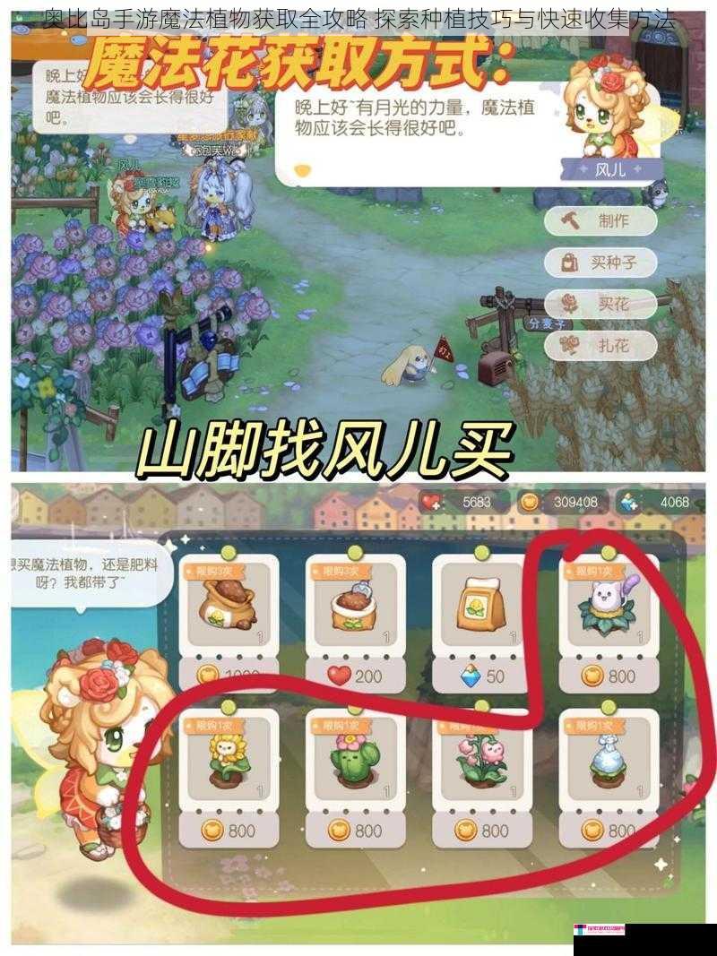 奥比岛手游魔法植物获取全攻略 探索种植技巧与快速收集方法