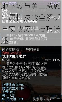 地下城与勇士憨憨牛属性技能全解析与实战应用技巧详述