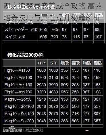 魂之追梦灵宠养成全攻略 高效培养技巧与属性提升秘籍解析