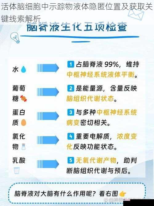 活体脑细胞中示踪物液体隐匿位置及获取关键线索解析