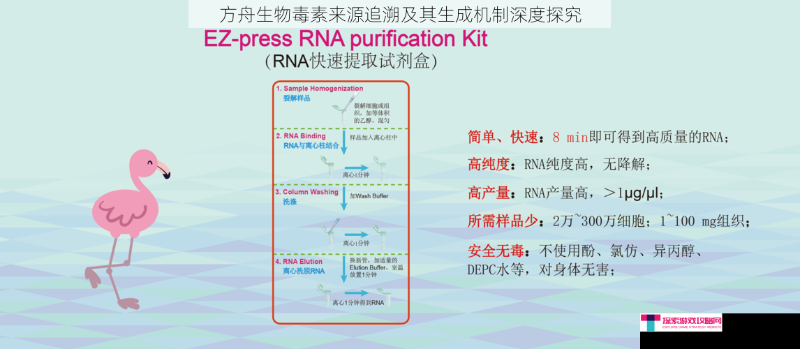 方舟生物毒素来源追溯及其生成机制深度探究