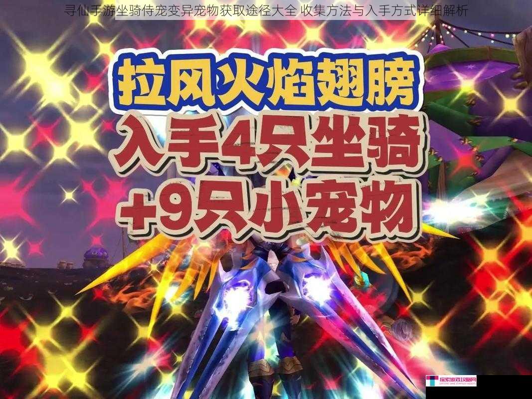 寻仙手游坐骑侍宠变异宠物获取途径大全 收集方法与入手方式详细解析