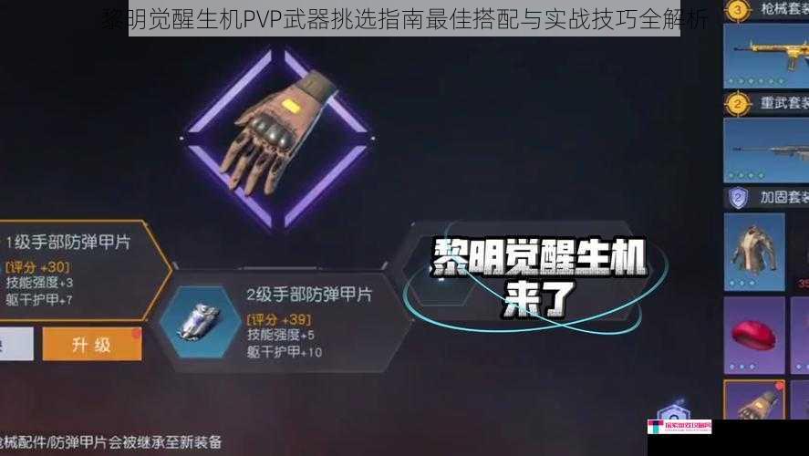 黎明觉醒生机PVP武器挑选指南最佳搭配与实战技巧全解析